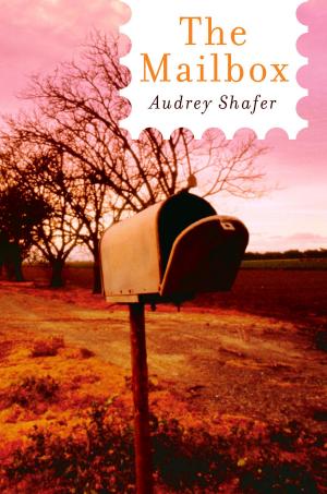 Book cover of The Mailbox