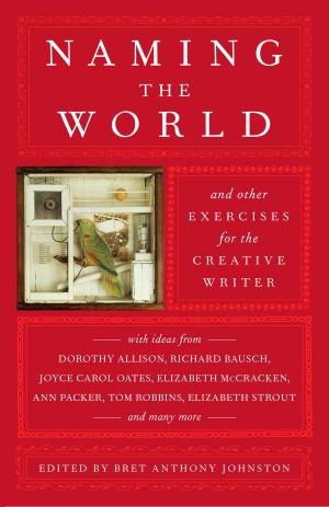Cover of the book Naming the World by Sarah Addison Allen