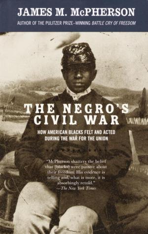 Book cover of The Negro's Civil War