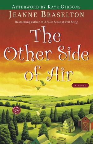 Cover of the book The Other Side of Air by Monica Burns