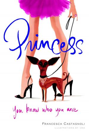 Cover of the book Princess by Mature Jokemaker Jr.