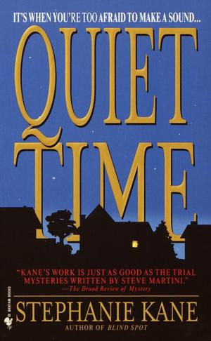 Cover of the book Quiet Time by David Gibbins