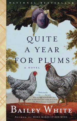 Cover of the book Quite a Year for Plums by William Berger