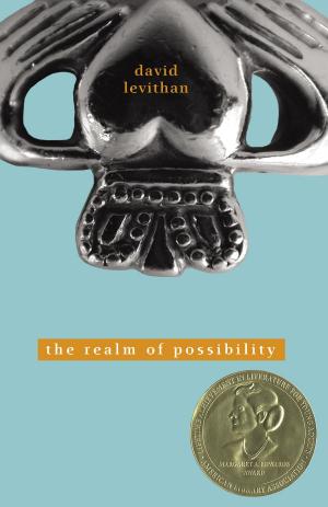 Book cover of The Realm of Possibility