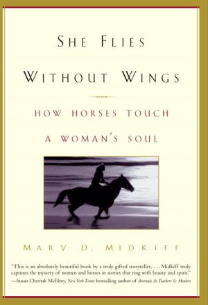 Cover of the book She Flies Without Wings by Linda Trichter Metcalf, Ph.D.
