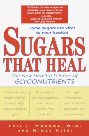 Cover of the book Sugars That Heal by Chaim Potok
