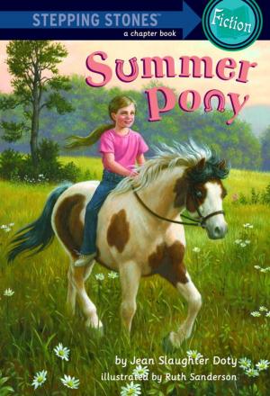 Cover of the book Summer Pony by Susan Lynn Meyer