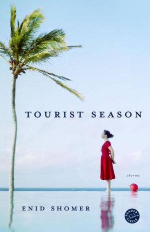 Cover of the book Tourist Season by Jennifer Chance