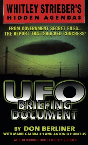 Cover of the book UFO Briefing Document by Greg Rucka