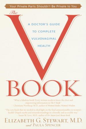 Cover of the book The V Book by Paul Kearney