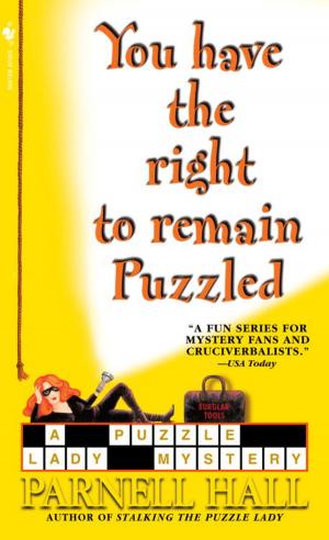 Book cover of You Have the Right to Remain Puzzled