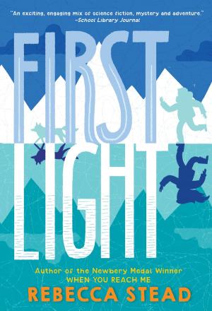 Cover of the book First Light by N. D. Wilson