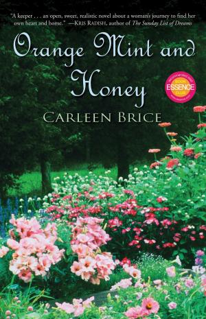 Cover of the book Orange Mint and Honey by Brian Hodge, Robert McCammon, Bill Schweigart