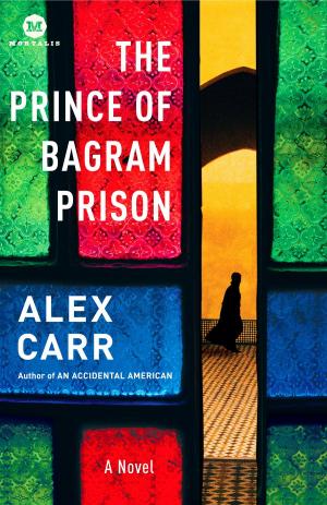 Cover of the book The Prince of Bagram Prison by Linda Heady