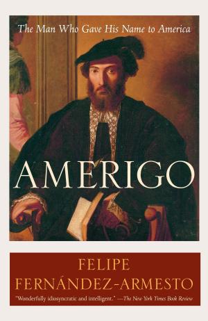 Cover of the book Amerigo by Herman Melville