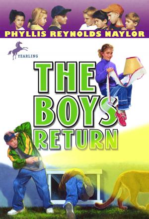 Cover of the book The Boys Return by Rebecca Thompson