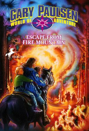 Cover of the book Escape from Fire Mountain by Lurlene McDaniel