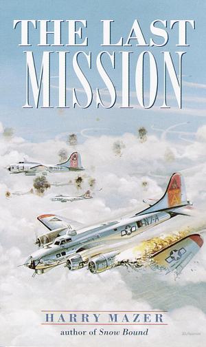 Cover of the book The Last Mission by Rich Wallace