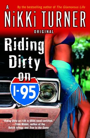 Cover of the book Riding Dirty on I-95 by James Kirschke