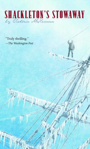Cover of the book Shackleton's Stowaway by Brian Falkner