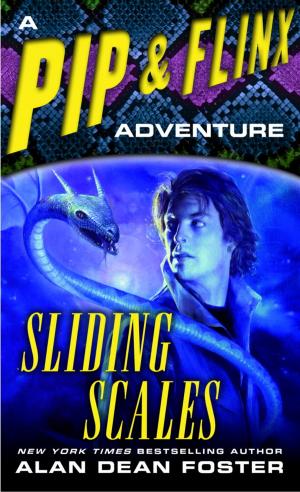 Cover of the book Sliding Scales by Tracy Wolff
