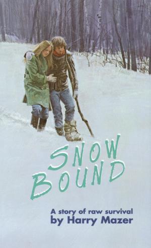 Cover of the book Snow Bound by Julia Alvarez