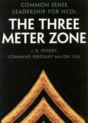Cover of the book The Three Meter Zone by Chaim Potok
