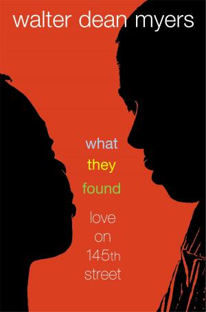 Cover of the book What They Found by Phyllis Reynolds Naylor