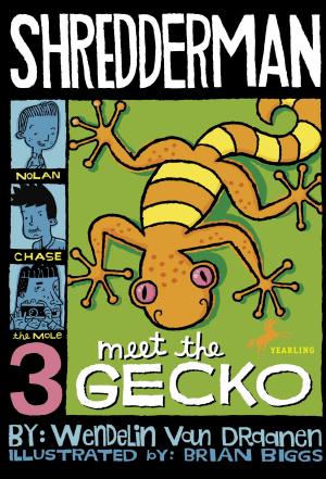 Cover of the book Shredderman: Meet the Gecko by Emma Carroll