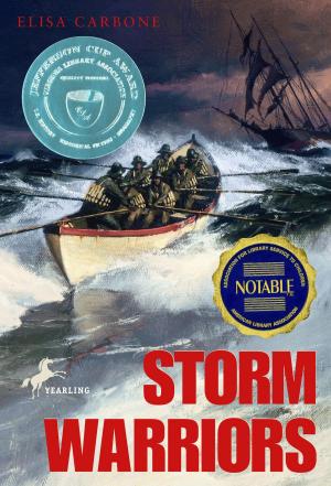 Cover of the book Storm Warriors by Laura Sebastian