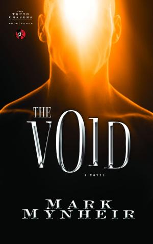 Cover of the book The Void by Raghuram Rajan, Luigi Zingales