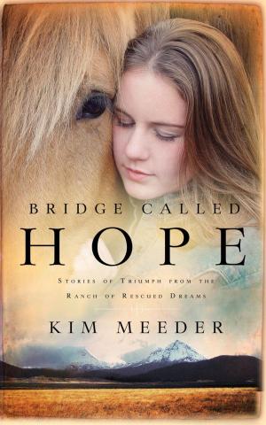 Cover of the book Bridge Called Hope by Robin Jones Gunn