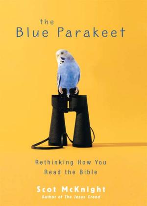 Book cover of The Blue Parakeet