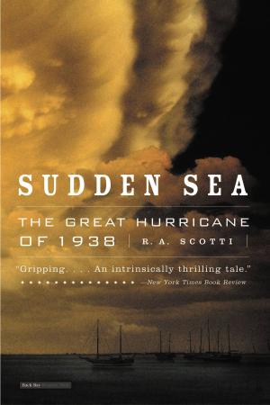 Book cover of Sudden Sea