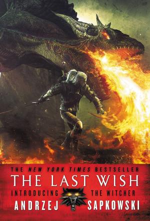 Cover of the book The Last Wish by RJ Barker