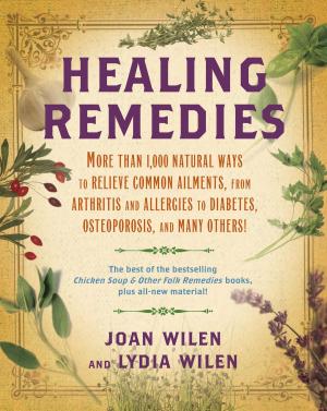 Cover of the book Healing Remedies by Perri Klass, Sheila Solomon Klass