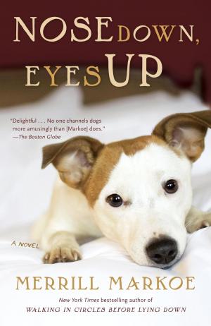 Cover of the book Nose Down, Eyes Up by James Hillman
