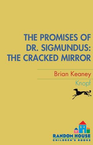 Cover of the book Dr. Sigmundus: The Cracked Mirror by Richard Doyle