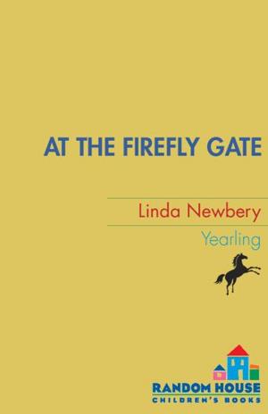 Cover of the book At the Firefly Gate by Dana Alison Levy