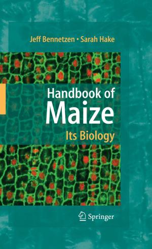 Cover of the book Handbook of Maize: Its Biology by Ben-Zion Maytal, John M. Pfotenhauer