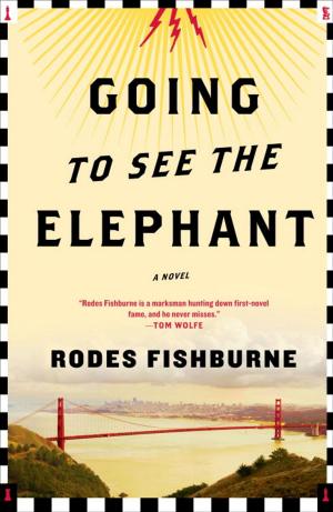 Cover of the book Going to See the Elephant by Kim Green