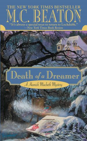 Cover of the book Death of a Dreamer by Erin Kern