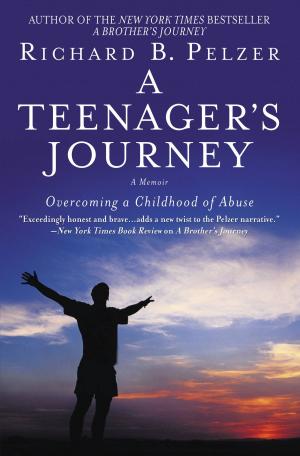 Book cover of A Teenager's Journey