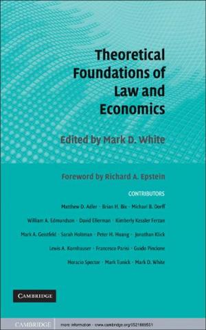 Cover of the book Theoretical Foundations of Law and Economics by Robert P. Wei