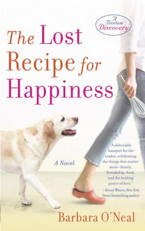 Cover of the book The Lost Recipe for Happiness by Laura Andersen