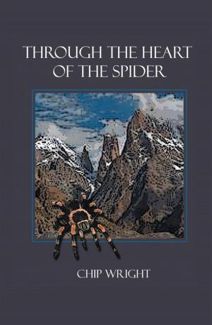 Cover of Through the Heart of the Spider by Chip Wright, iUniverse
