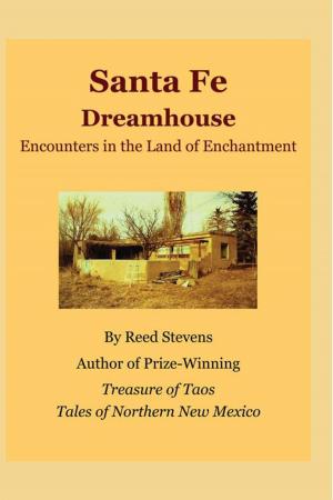 Cover of the book Santa Fe Dreamhouse by David Laureen