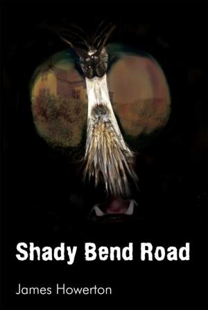 Cover of the book Shady Bend Road by Yang-Un Moon