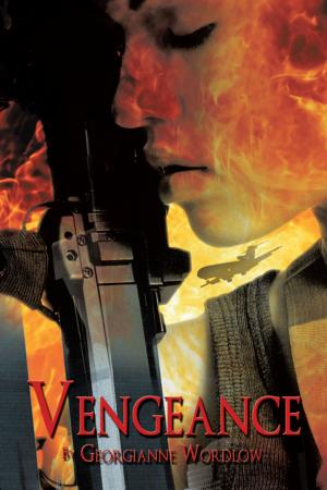 Cover of the book Vengeance by Julien Ayotte