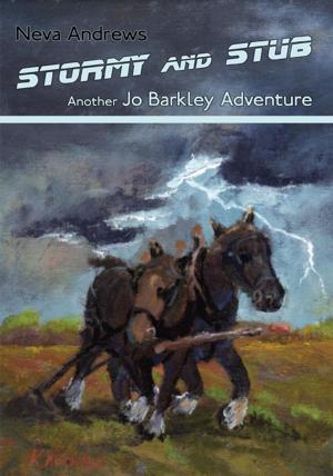 Cover of the book Stormy and Stub by Karl Drinkwater